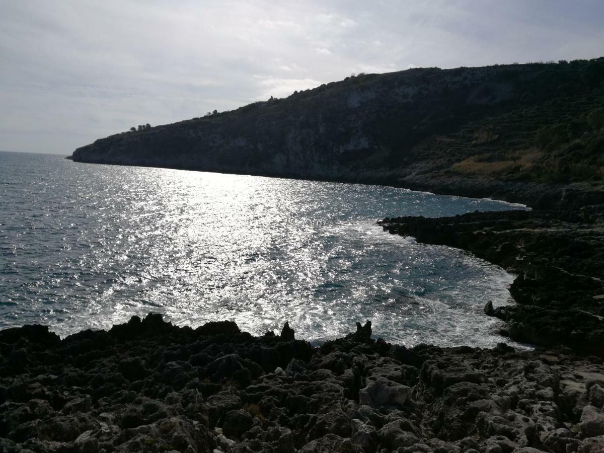 Apartment Sant'andrea *